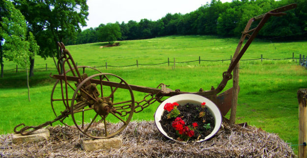 Unusual Garden Ornaments - old farm hand plough